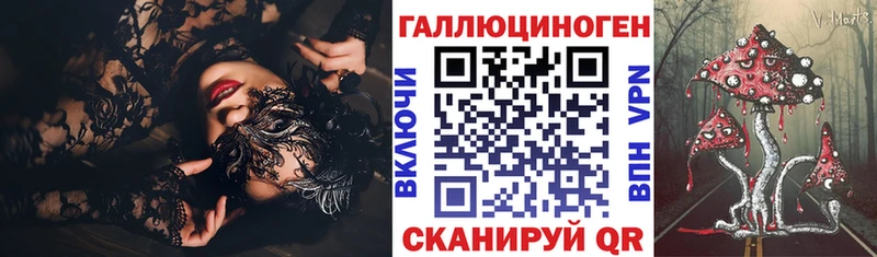 Псилоцибиновые грибы Psilocybe  Хабаровск 